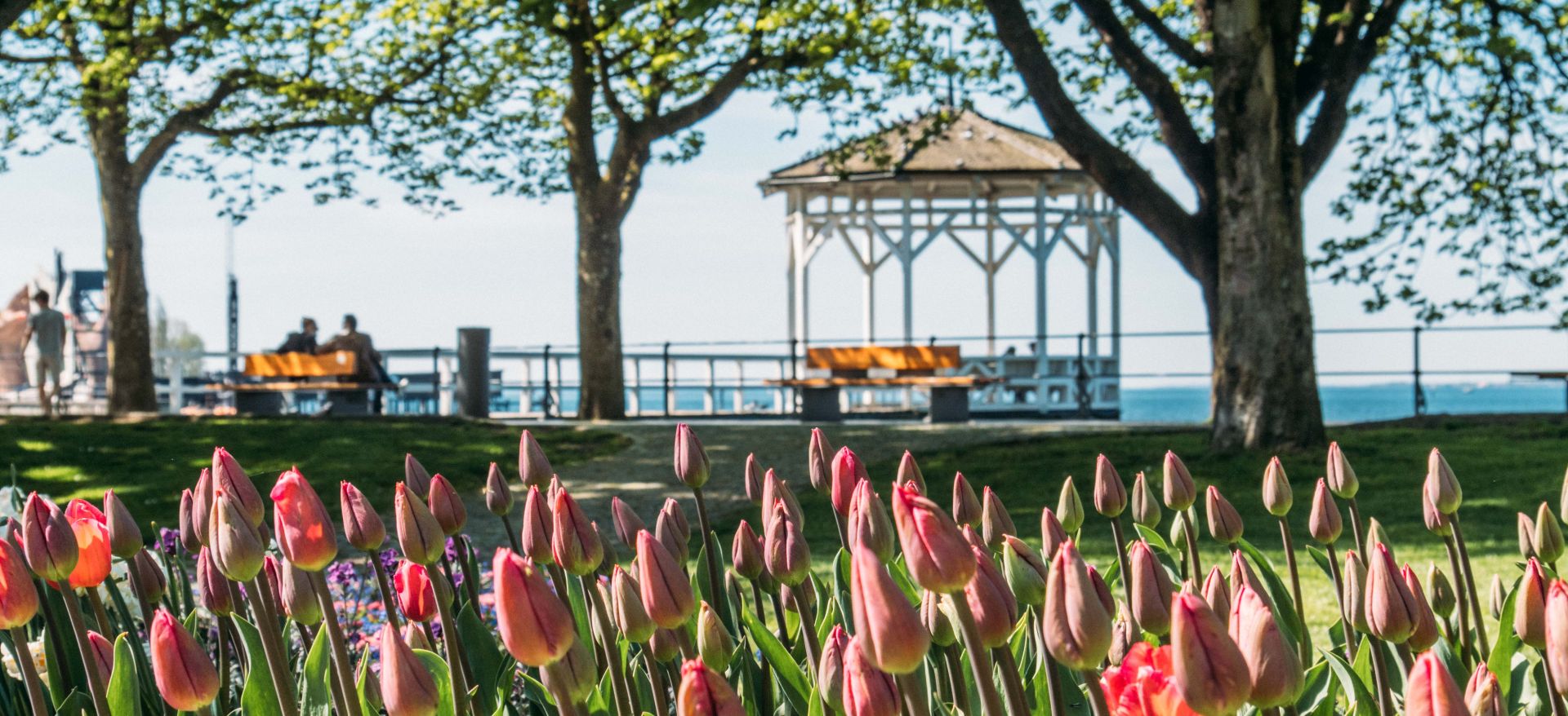 Fischersteg Tulpen (c) Christiane Setz - visitbregenz_Christiane Setz Fischersteg Tulpen (c) Christiane Setz - visitbregenz_Christiane Setz