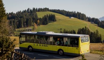 Bus Wandern (6)