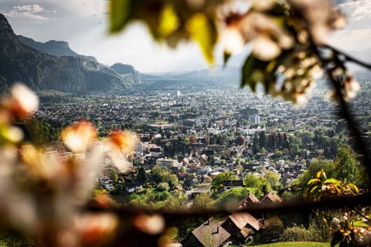 Blick auf Dornbirn