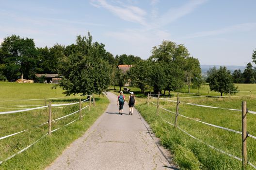 Wandern in Hörbranz